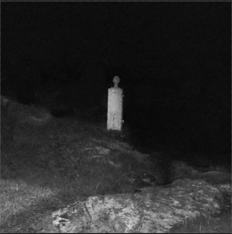 Blodtørst (NOR) : Madrugal